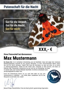 05-Urkunde-Brauner-Baer