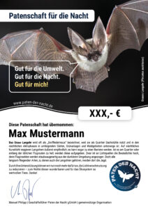 07-Urkunde-Graues-Langohr